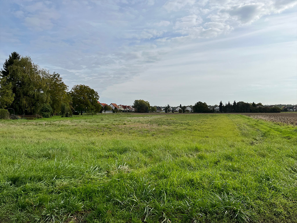 iec Wohnen in Freckenfeld Hauptstraße